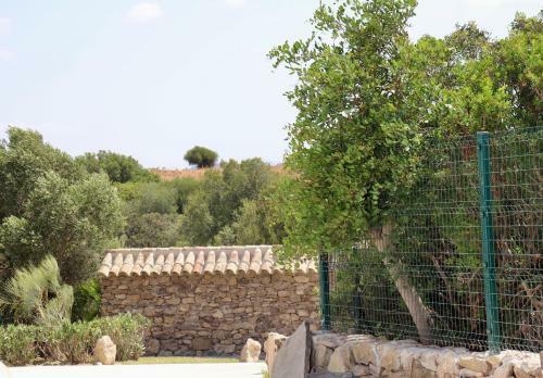 Donad�o De Las Monjas