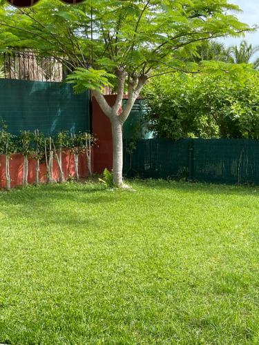 Apartamento Albaricoque Sun & Beach