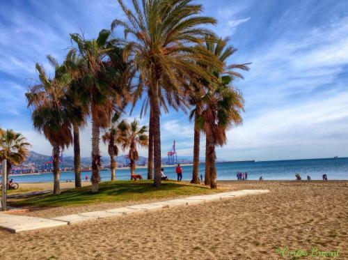 Apartamento Parque Litoral