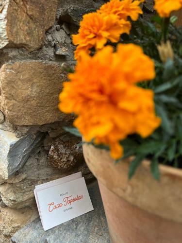 Agroturismo Casa Tapiolas Rector�a