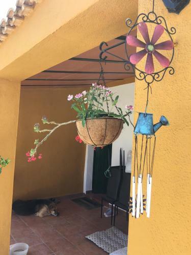 Double Room At La Casa Amarilla