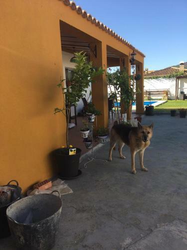 Double Room At La Casa Amarilla