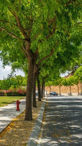 Nice Apartment With Pool Mountain Views - Ao9424hr