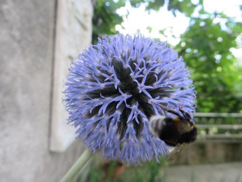 B&B La Gerla Blu
