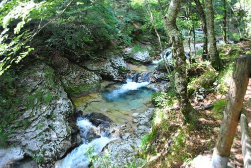B&B La Gerla Blu