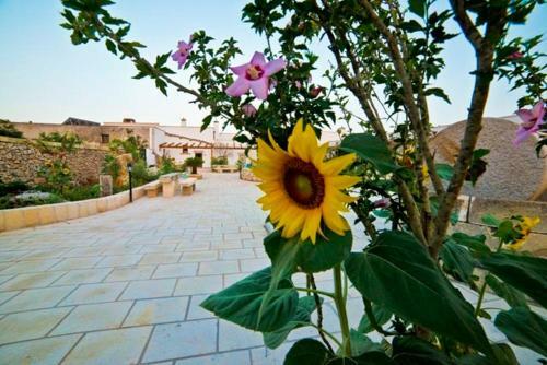 Agroturismo Masseria Cinti