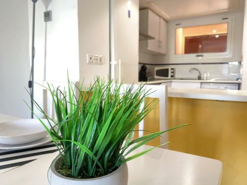 Apartamento Pink El Bosque- Apto Con Piscina-orihuela Costa