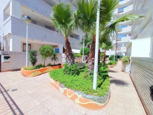 Apartamento Ayf Centrico Trebol Dor