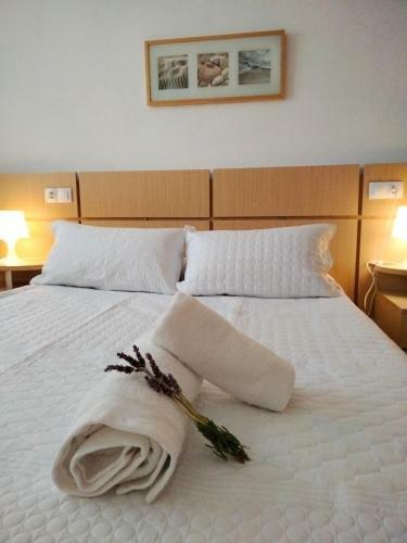 Apartamento Confort Y Relax