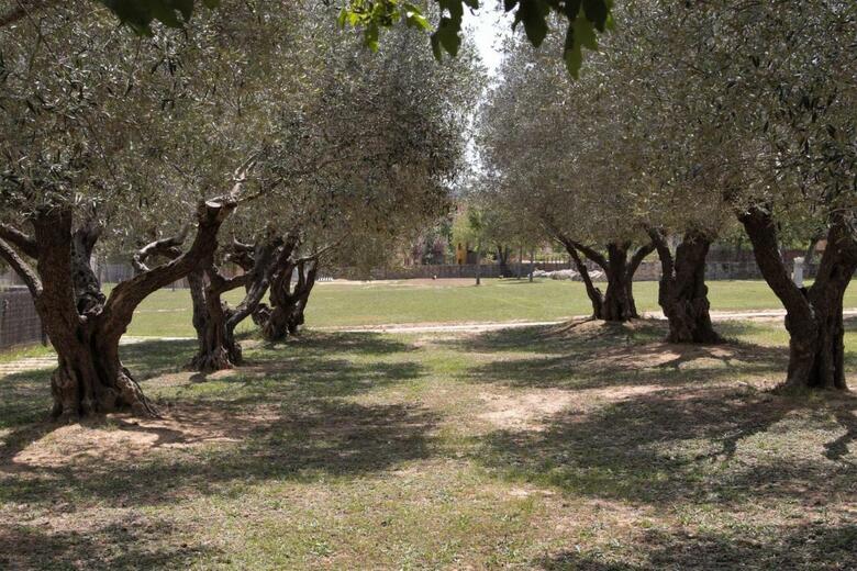Villa Mas Soles - Parlav� - Masia De Alquiler Vacacional