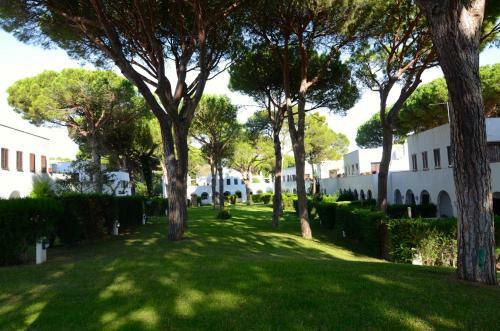 Piverd Del Golf 35