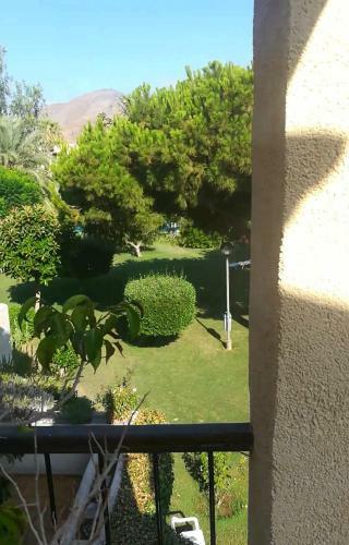 Los Robles 6 Portman