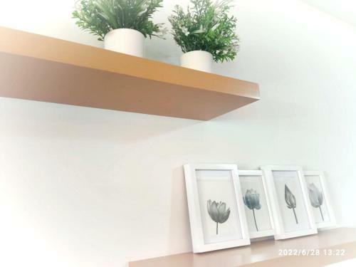 Apartamento Rio De Sandes