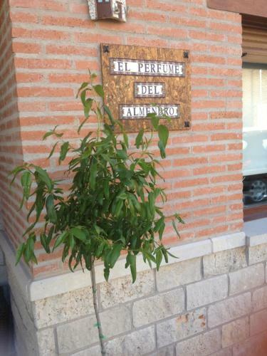 Agroturismo El Perfume Del Almendro