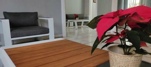 Apartamento Avc Valle Luz
