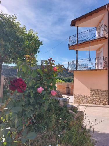Apartamentos El Pozo