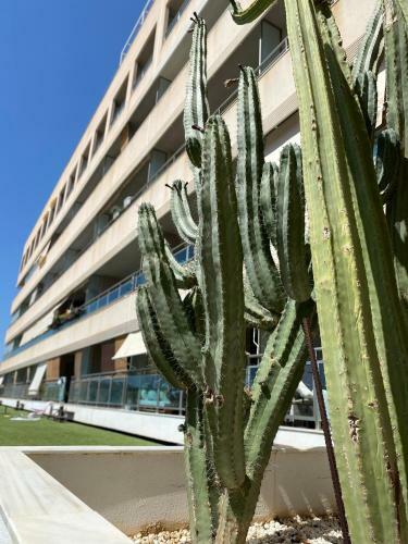 Apartamento Expoholidays - Playa Salinas 4b