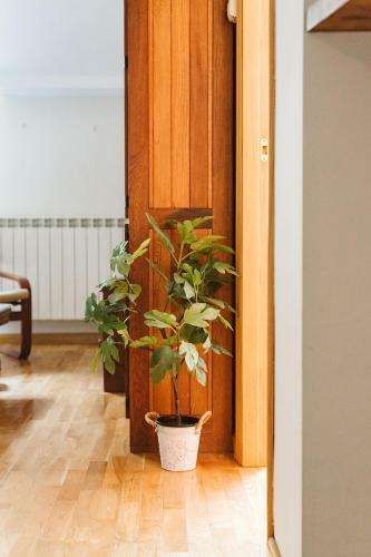 Apartamento Casa Bego�a - Wifi, Sencillo Y Acogedor