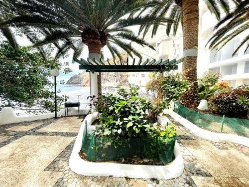 Luxury Apartment Overlooking Atlantic Ocean, Wifi