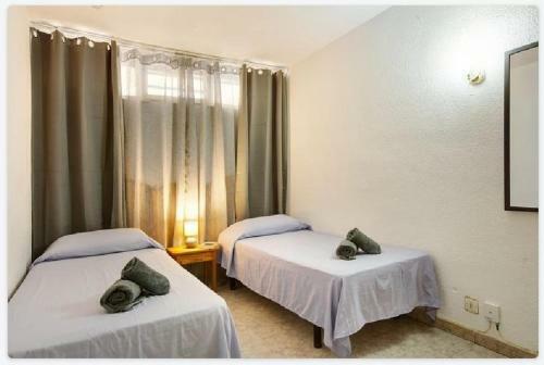 Apartamento Teneguia 120