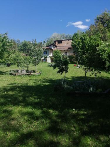 Bed & Breakfast Myricae