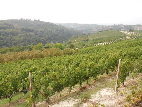 Agroturismo Agriturismo Schlin
