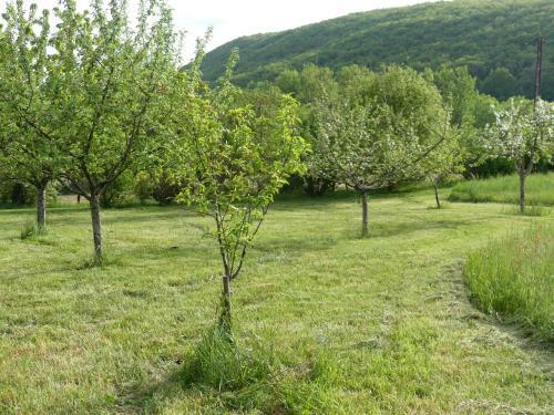 Bed & Breakfast Le Hameau Du Quercy