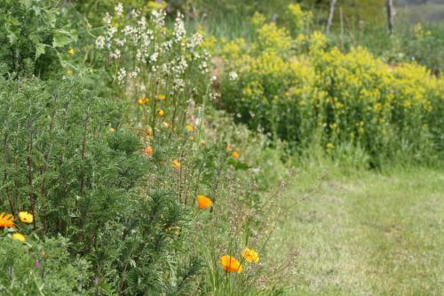 Bed & Breakfast Le Hameau Du Quercy