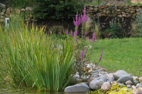 Bed & Breakfast Le Hameau Du Quercy