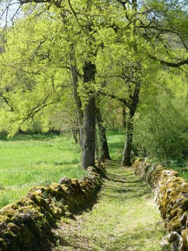 Bed & Breakfast Le Hameau Du Quercy