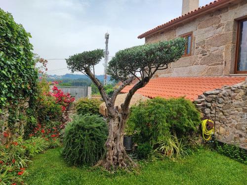 A Casa De Herminia
