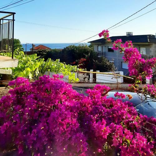 Apartamentos Mar De Nan�n