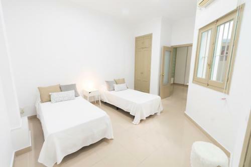 Apartamento Piso Calle Ancha Centro