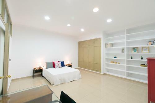 Apartamento Piso Calle Ancha Centro