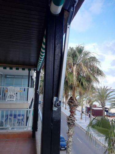 Apartamento Zeus San Juli