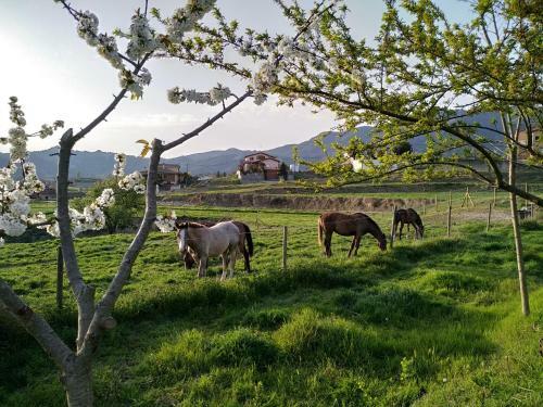 Les Roviles
