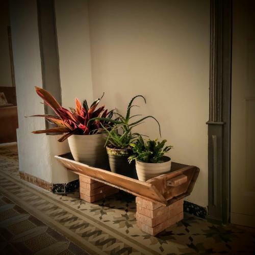 Agroturismo Casa Rural Maribel