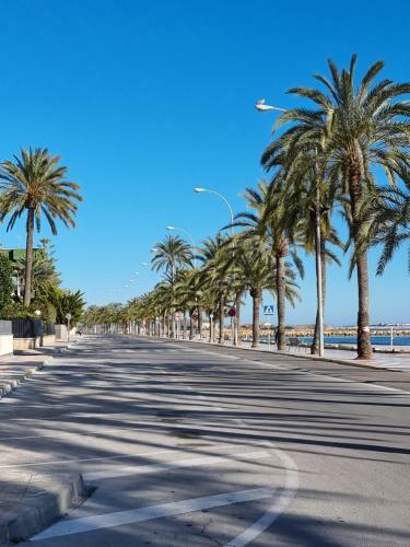 Mirador Apartments Beach