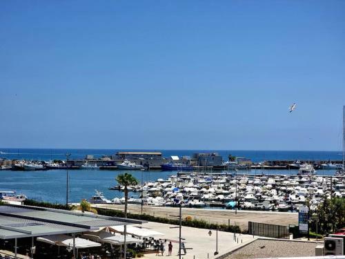 Apartamento Sunflower Marina