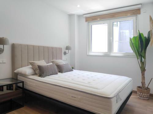 Apartamentos Rey