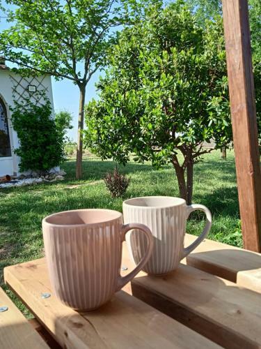 La Casita De Los Almendros