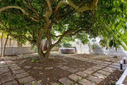 Apartamento Home2book Tegueste Charming House & Jacuzzi