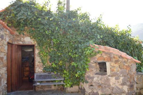 Apartamento Casa Pepita Xypz