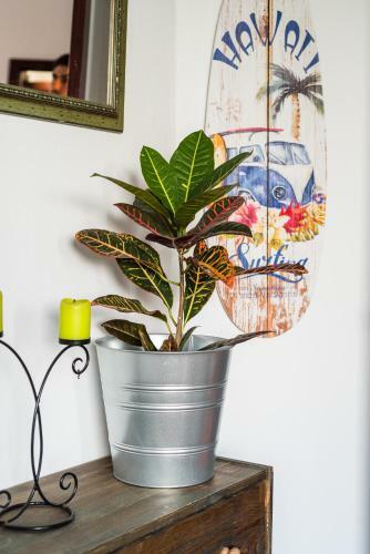 Apartamento La Fuente B