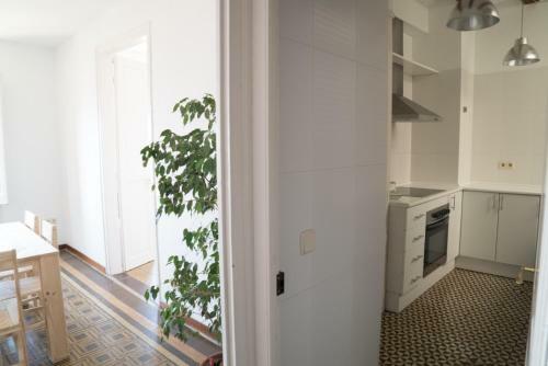Th152 Apartment La Nau