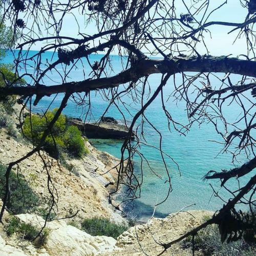 Lo Nostre Tros