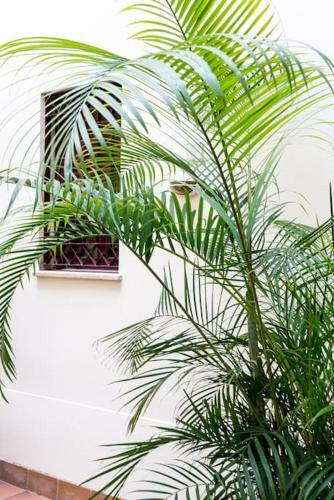 Apartamento Ba�os