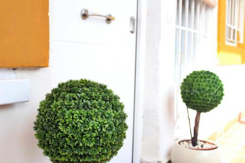 Apartamento Brisas