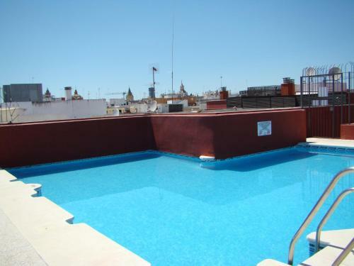 Apartamento Conde De Ibarra