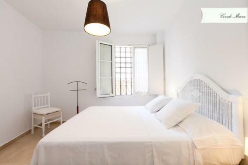 Apartamento Conde De Ibarra